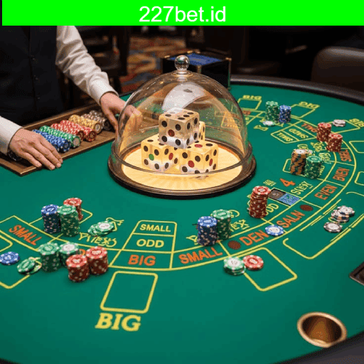 Principais provedores de slots da 227bet - NetEnt, Pragmatic Play, Play'n GO